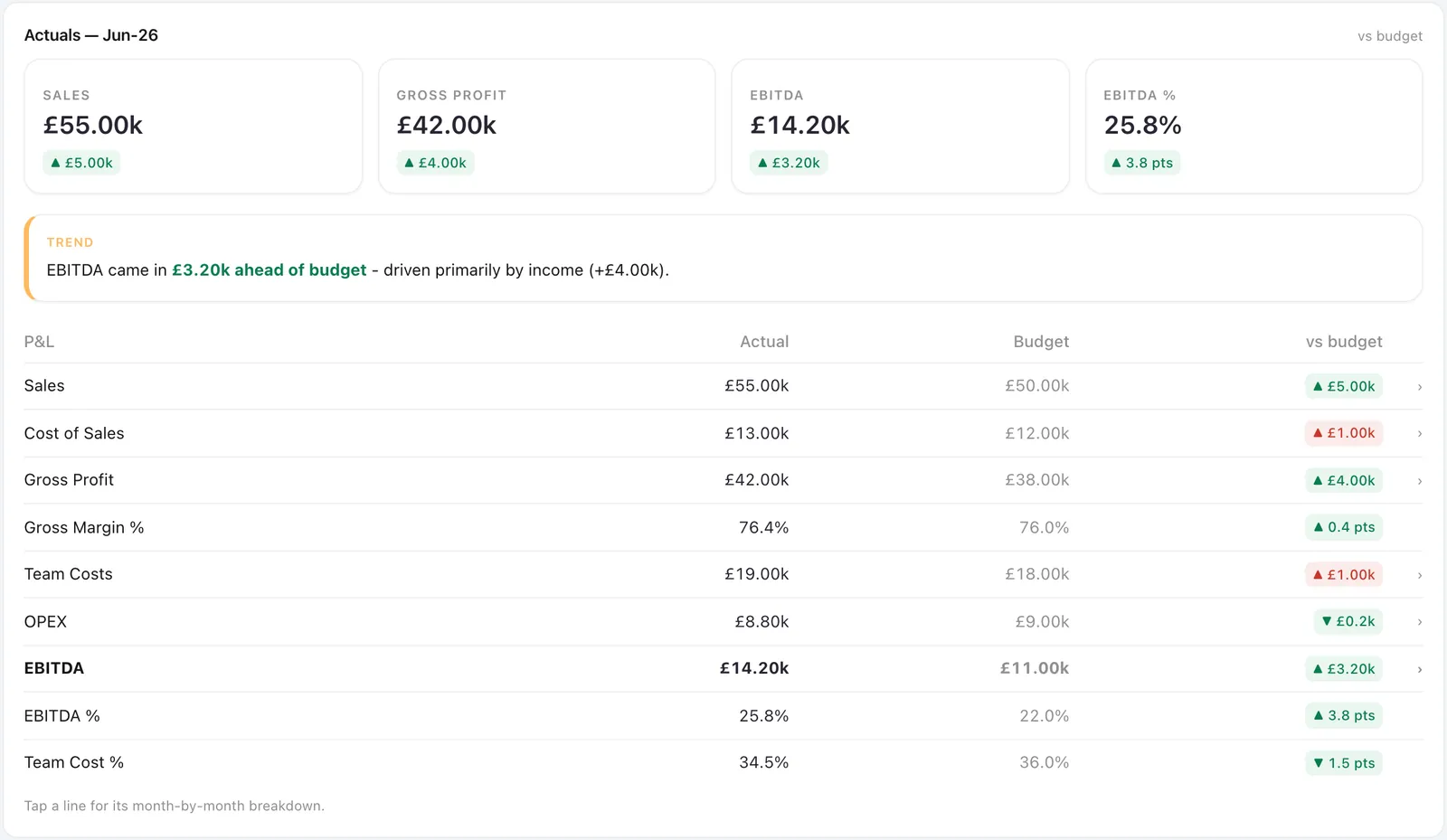 OutRise Vision client deck with demo data: sales, gross profit and EBITDA for June against budget, a one-line summary, and the profit and loss lines against budget.